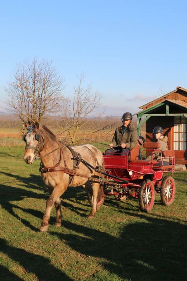 فندق Ferme Equestre Les Chevaliers Penol المظهر الخارجي الصورة
